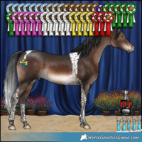 Horse Color:Brown Tobiano 