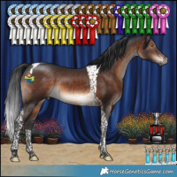 Horse Color:Brown Tobiano