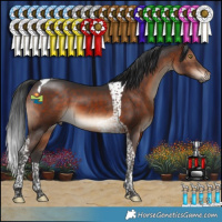 Horse Color:Brown Tobiano 