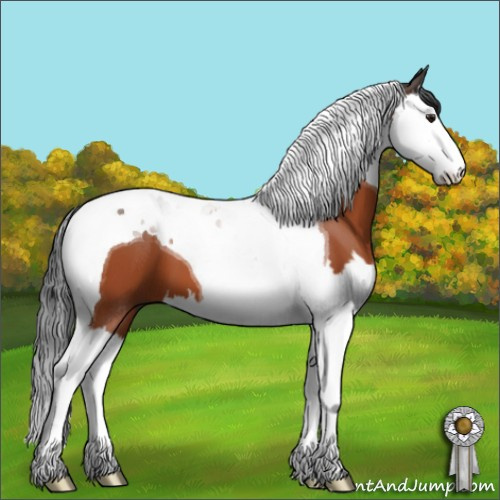 Horse Color:Brown Splash Tobiano 
