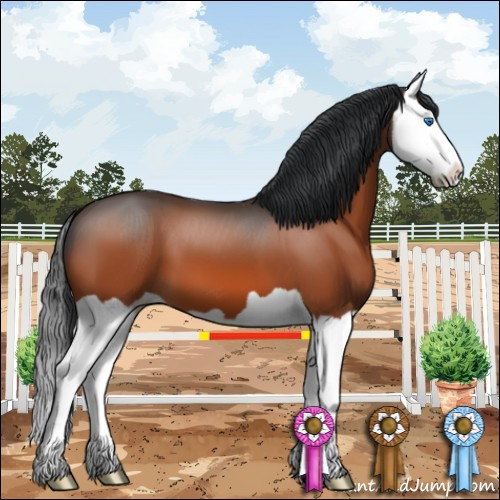 Horse Color:Brown Splash 