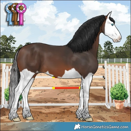 Horse Color:Brown Splash 