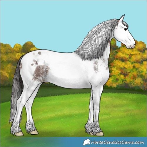 Horse Color:White Spotted Brown Splash Tobiano 