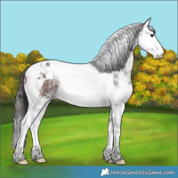 Horse Color:White Spotted Brown Splash Tobiano 
