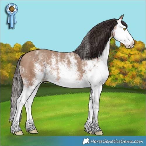 Horse Color:White Spotted Sable Champagne Splash 