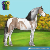 Horse Color:White Spotted Sable Champagne Tobiano 