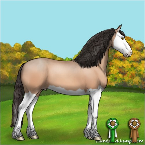 Horse Color:Sable Champagne Splash 