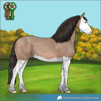 Horse Color:Sable Champagne Splash 