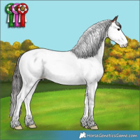 Horse Color:Brown Splash Tobiano 