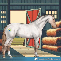 Horse Color:Red Roan Appaloosa 