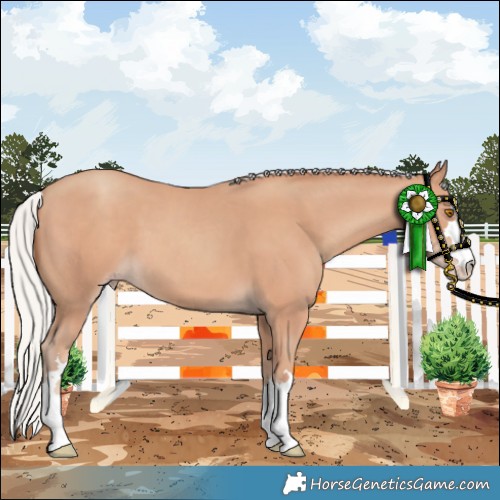 Horse Color:Silver Classic Champagne 