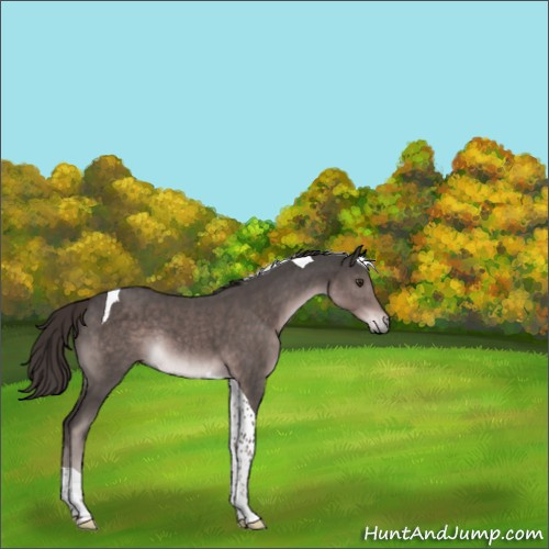 Horse Color:Platinum Liver Chestnut Tobiano 