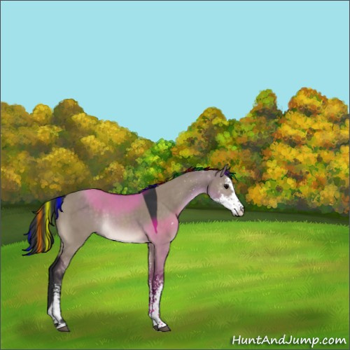Horse Color:Painted Brown Dun Sabino Rabicano 