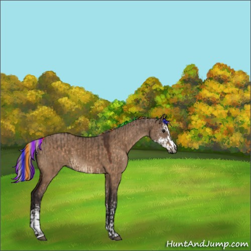 Horse Color:Gray Painted Brown Dun Sabino Tobiano Rabicano  and Painted Silver Brown Dun Sabino 