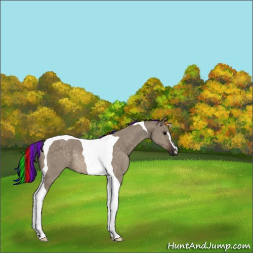 Horse Color:Painted Brown Dun Sabino Tobiano Rabicano 