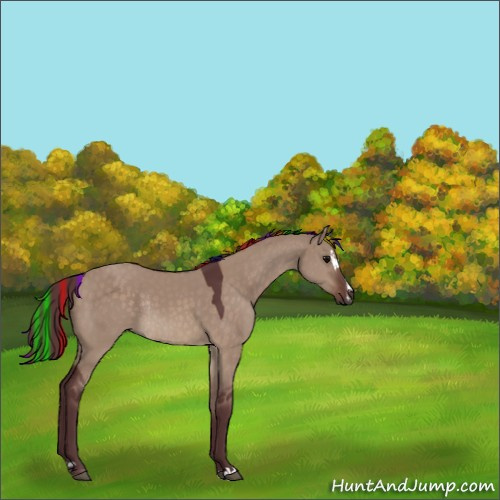Horse Color:Painted Chocolate Brown Dun Sabino Rabicano 