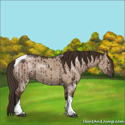 Horse Color:Liver Red Dun Tobiano Rabicano Brindle 