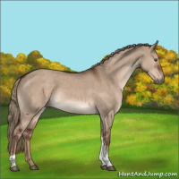 Horse Color:Liver Red Dun Tobiano Rabicano