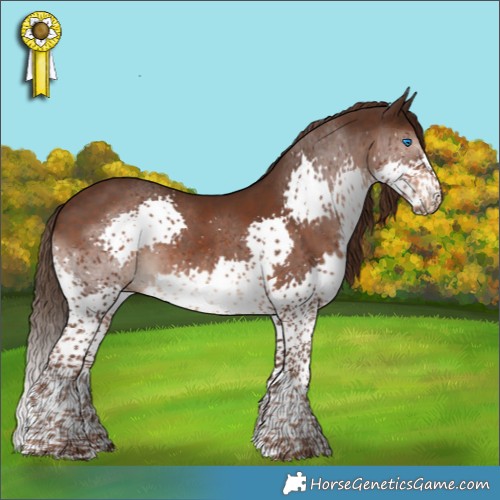 Horse Color:Liver Chestnut Sabino Splash Tobiano 