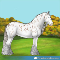 Horse Color:Chocolate Palomino Dun Sabino Splash  and Liver Red Dun Sabino Splash Near Leopard 