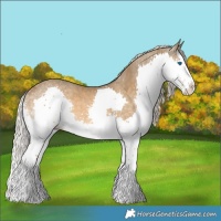 Horse Color:Chocolate Palomino Sabino Splash 