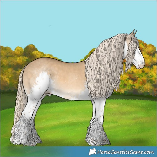 Horse Color:Chocolate Palomino Dun Sabino Splash 