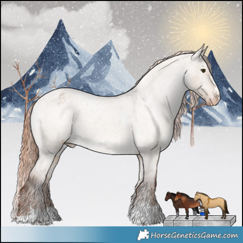 Horse Color:Liver Red Dun Roan Appaloosa 