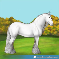 Horse Color:Gray White Spotted Liver Red Dun  and Gray White Spotted Liver Red Dun Near Leopard 