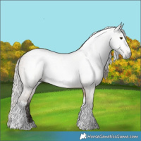Horse Color:Gray Silver Brown Dun Tobiano 