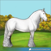 Horse Color:Gray Silver Brown Dun Tobiano 
