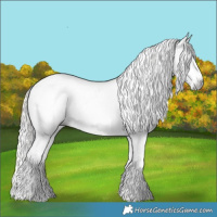 Horse Color:Gray Chocolate Palomino Dun Sabino and Cremello Dun Sabino
