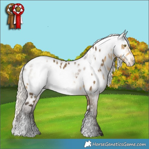 Horse Color:Silver Buckskin Dun Tobiano Appaloosa  and Gray Silver Bay Dun Sabino Appaloosa 