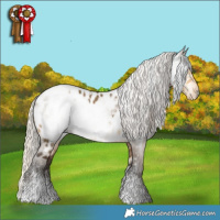 Horse Color:Silver Buckskin Dun Tobiano Appaloosa  and Gray Silver Bay Dun Sabino Appaloosa 