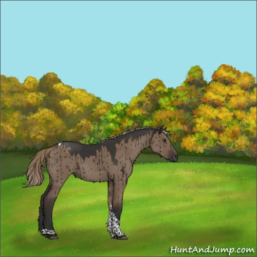 Horse Color:Liver Red Dun Tobiano Rabicano Brindle 