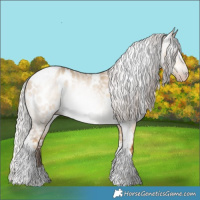 Horse Color:Gray Gold Cream Champagne Roan Dun Appaloosa  and Gray Silver Sable Champagne Dun Tobiano Appaloosa 