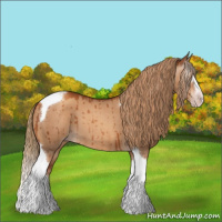 Horse Color:Gray Gold Champagne Dun Sabino Splash Tobiano Brindle 