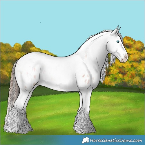Horse Color:Gold Champagne Dun Splash Tobiano Appaloosa  and Liver Red Dun Roan Splash Tobiano Appaloosa Brindle 