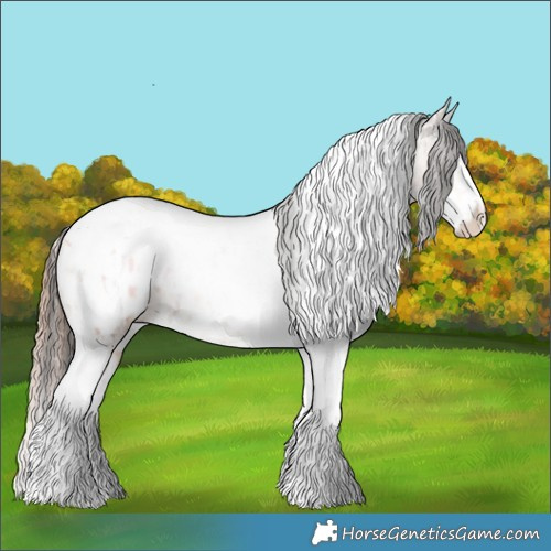 Horse Color:Gold Champagne Dun Splash Tobiano Appaloosa  and Liver Red Dun Roan Splash Tobiano Appaloosa Brindle 