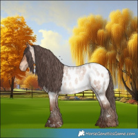 Horse Color:Amber Champagne Roan Appaloosa 