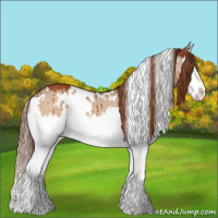 Horse Color:White Spotted Red Dun Splash Brindle