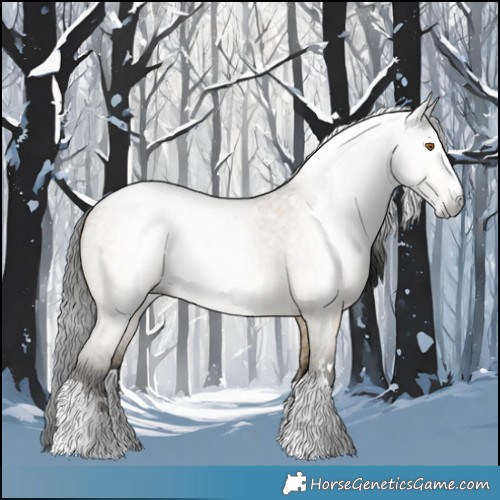 Horse Color:Gray Buckskin Roan Dun 