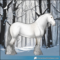 Horse Color:Gray Buckskin Roan Dun 