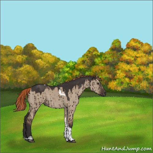 Horse Color:Liver Red Dun Tobiano Brindle 