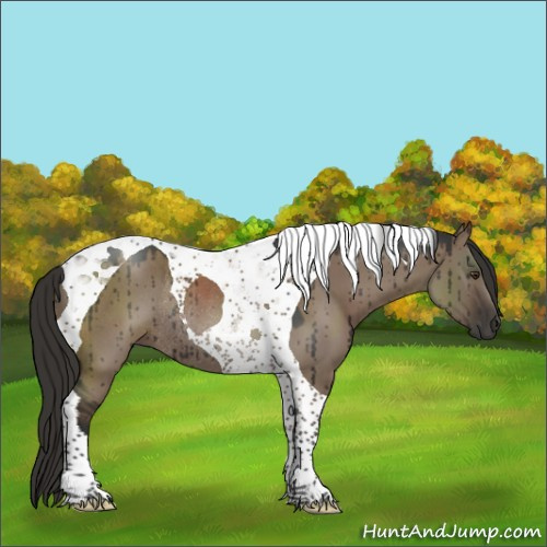Horse Color:Liver Red Dun Tobiano Rabicano Brindle 