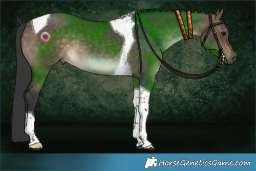 Horse Color:Brown Dun Tobiano Rabicano 