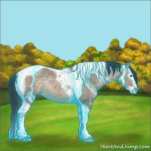 Horse Color:Thunderstruck Brown Dun Splash Tobiano Rabicano 