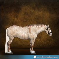 Horse Color:Gray Silver Grullo Pearl Snowflake Varnish Rabicano Brindle 