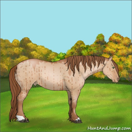 Horse Color:Brown Pearl Dun Brindle 