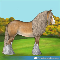 Horse Color:Chocolate Palomino Dun Splash Rabicano 