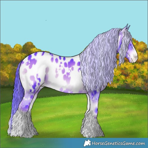 Horse Color:Watercolor White Spotted Liver Red Onyx Appaloosa 